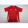 Chile Local 2024