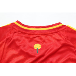 España Campeón Eurocopa 2024