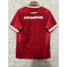 Gales RUGBY 2025