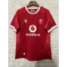 Gales RUGBY 2025