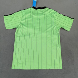 Celtic Icon Verde 25-26