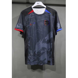 Barcelona Player Version...