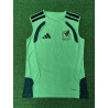 Mexico Entrenamiento Sin Mangas Verde 2026