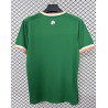 Irlanda Local 2026