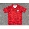Polonia Visitante 2026