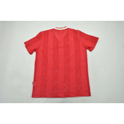 Liverpool Retro Local 95-96