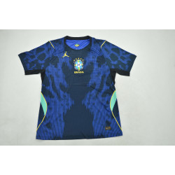 Brasil Player Version...