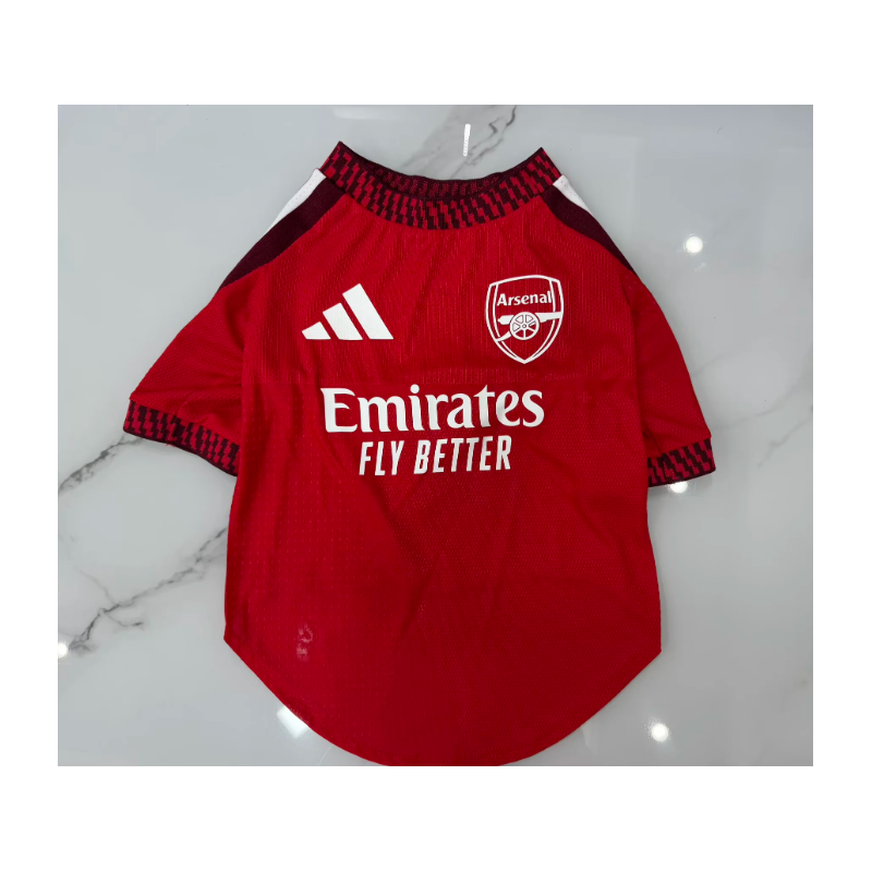 Arsenal Mascota Local 26-27