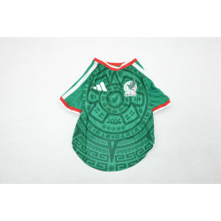 Mexico Mascota Local 2026