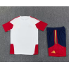 Kit Entrenamiento España Blanco 2026 2 Estrellas