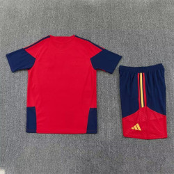 Kit Entrenamiento España Rojo 2026 2 Estrellas