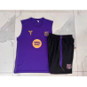 Kit Entrenamiento Barcelona Sin Mangas Morado 26-27