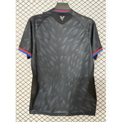 Crystal Palace Visitante 26-27