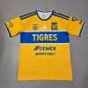 Tigres Local 26-27